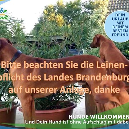 Jagd-Angler-Holzhaus-Im-Wald-Am-See Villa Kyritz Eksteriør bilde