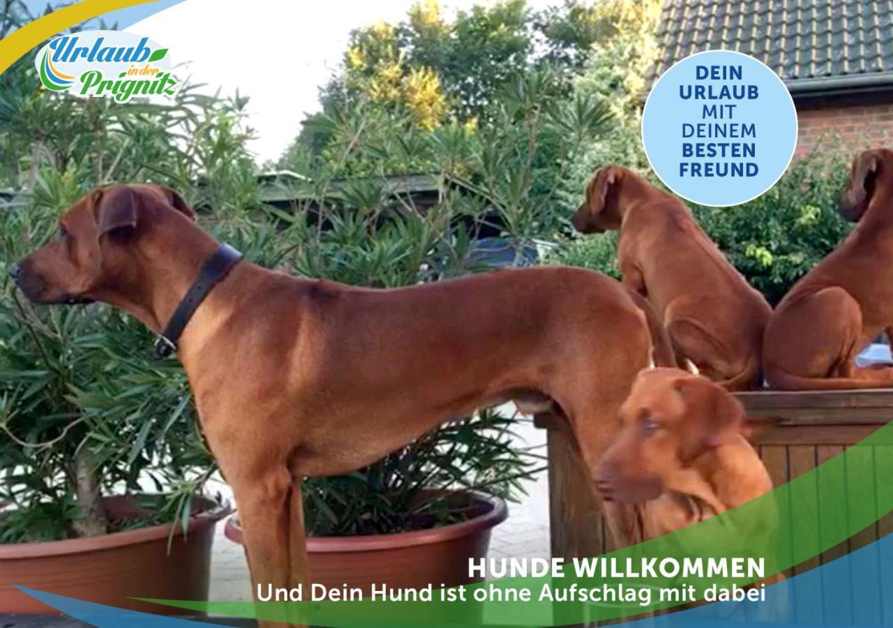 Jagd-Angler-Holzhaus-Im-Wald-Am-See Villa Kyritz Eksteriør bilde