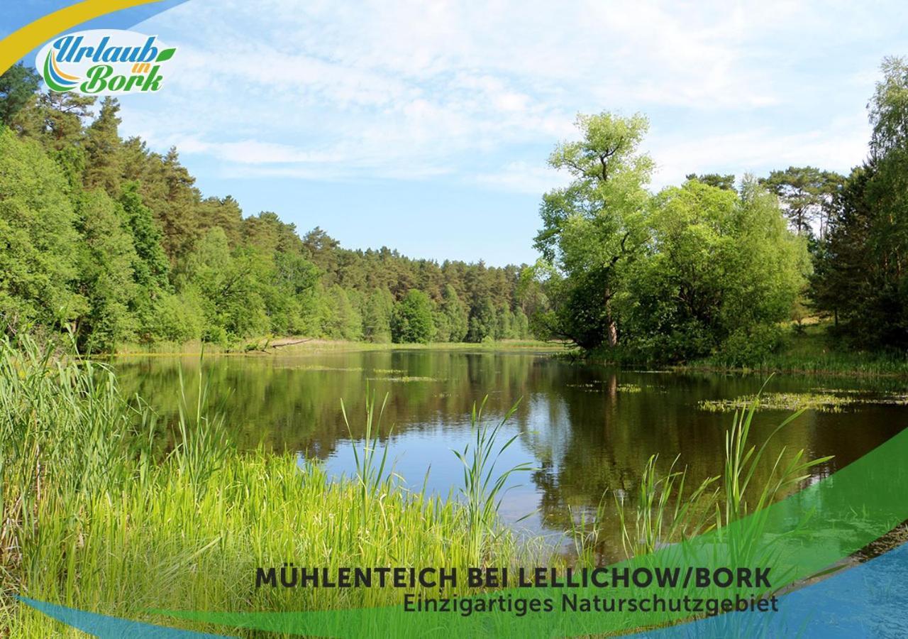 Jagd-Angler-Holzhaus-Im-Wald-Am-See Villa Kyritz Eksteriør bilde